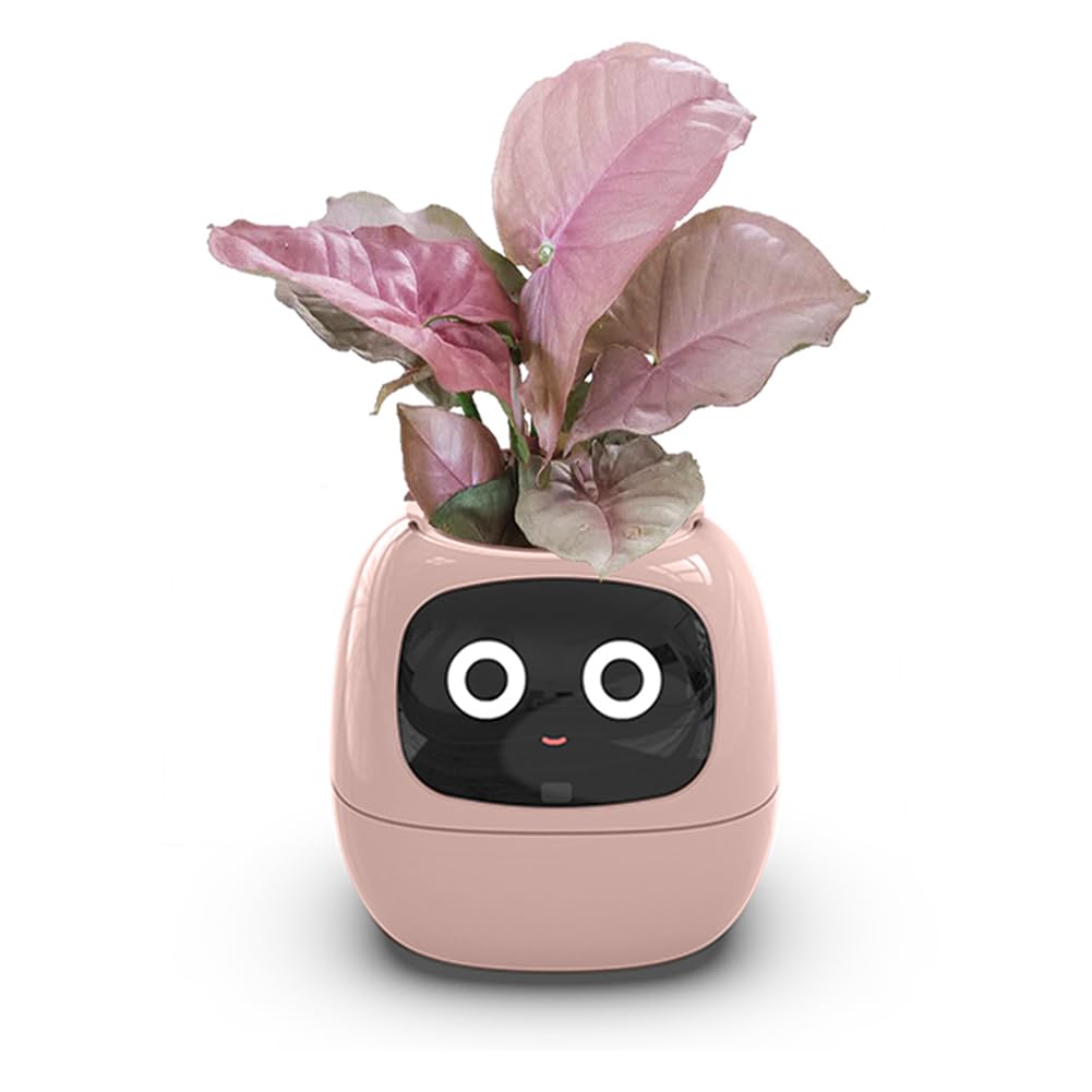 Умный горшок Ivy, Smart Care & Smart Pet, светодиодный экран, оснащен функцией «умный дом», горшок для декоративных растений, розовый розовый
Умный горшок Ivy, Smart Care & Smart Pet, светодиодный экран, оснащен функцией «умный дом», горшок для декоративных растений, розовый розовый