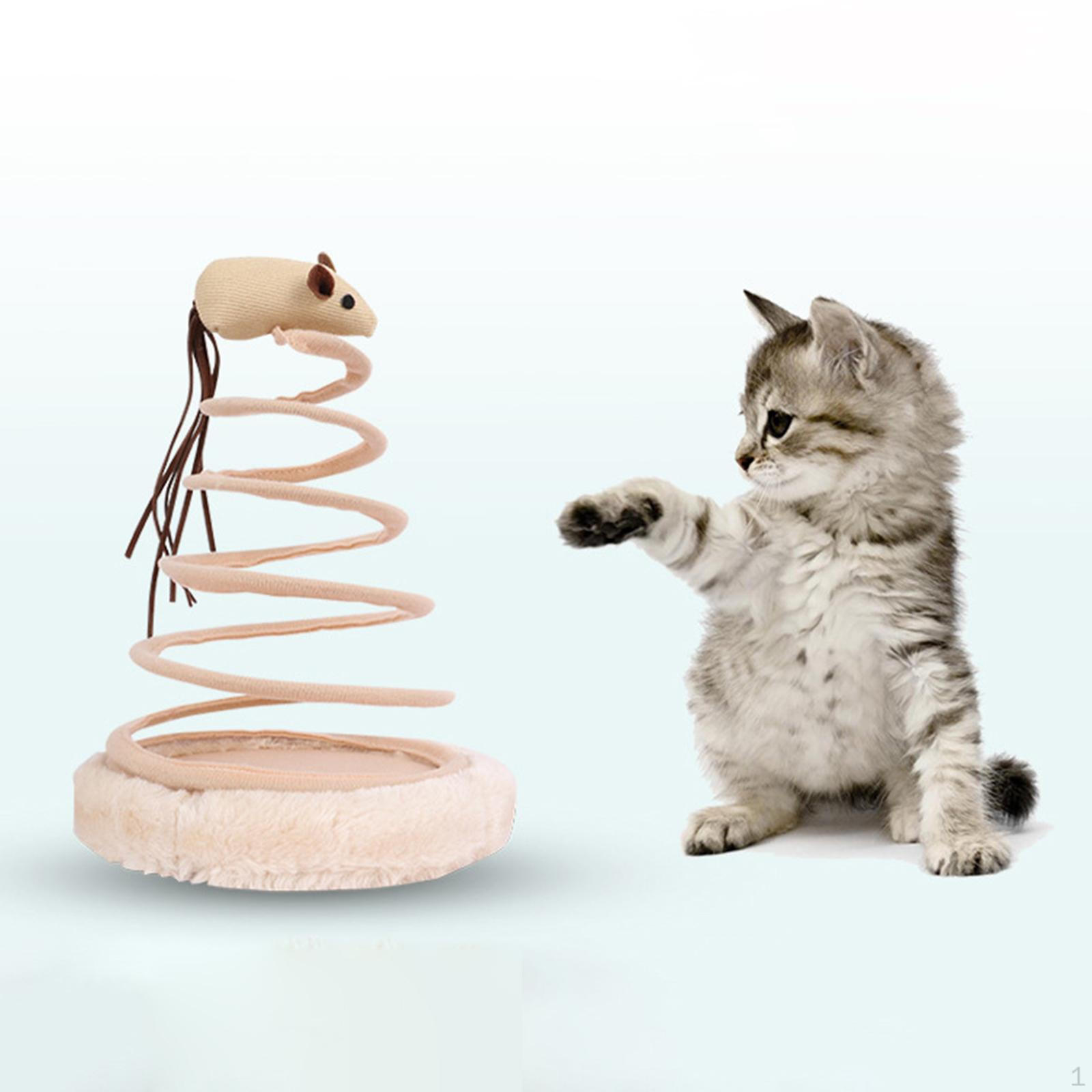 Funny Spring Toy Scratch Teaser Toys for Kitty Indoor Kitten Training Playing Mouse
Funny Spring Toy Scratch Teaser Toys for Kitty Indoor Kitten Training Playing Mouse