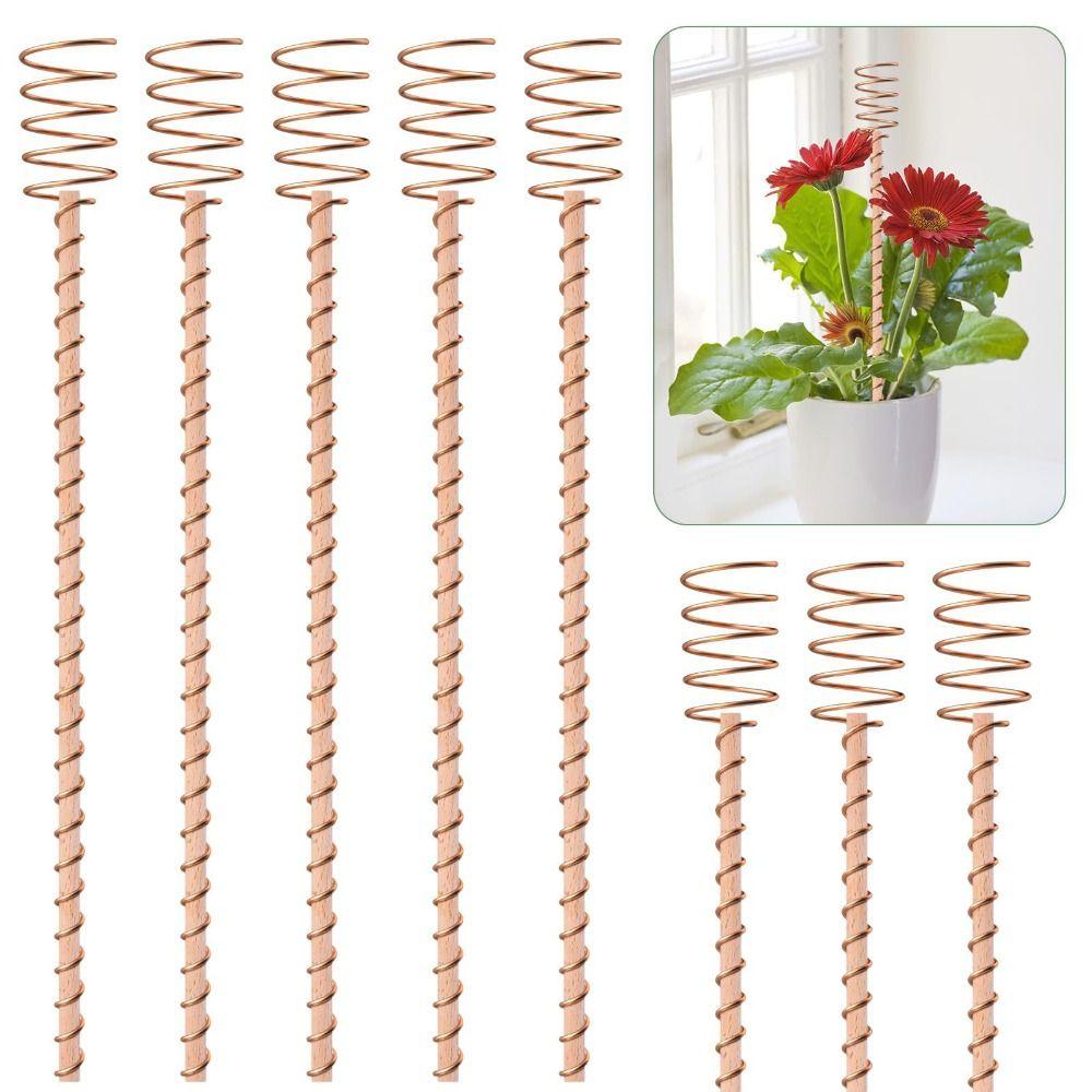 Wire Coil Electroculture Plant Stakes Wood Rod Plant Support Frame Bonsai Fixing Rod Plants 30cm
Wire Coil Electroculture Plant Stakes Wood Rod Plant Support Frame Bonsai Fixing Rod Plants 30cm