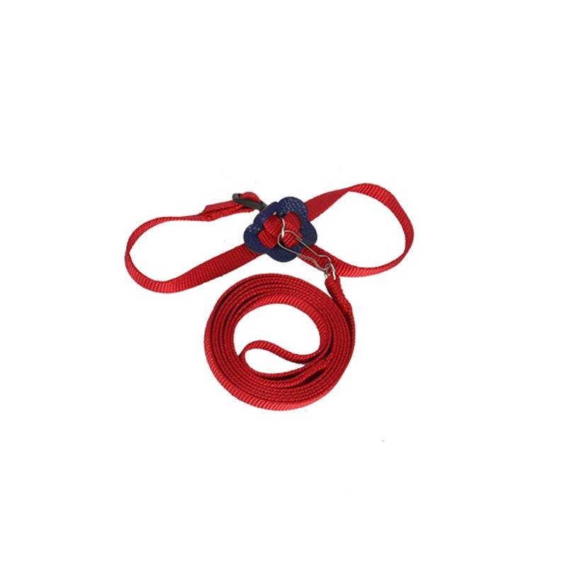 Регулируемая привязь для домашних животных Поводок для рептилий Черепаха Песчанка Ящерица Тренировки на открытом воздухе Мягкий ремешок Анти-укус Многоцветная легкая тяговая веревка красный
Регулируемая привязь для домашних животных Поводок для рептилий Черепаха Песчанка Ящерица Тренировки на открытом воздухе Мягкий ремешок Анти-укус Многоцветная легкая тяговая веревка красный