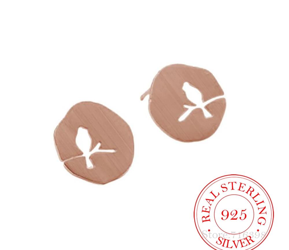 100% 925 Sterling Silver Matte Tree Branch Bird Stud Earrings For Women Creative Lady Fashion Jewelry pendientes рожевий колір золота
100% 925 Sterling Silver Matte Tree Branch Bird Stud Earrings For Women Creative Lady Fashion Jewelry pendientes рожевий колір золота