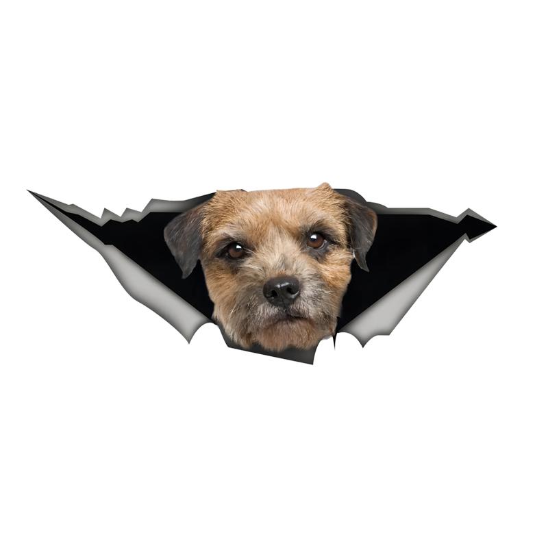 Border Terrier Car Stickers, Waterproof Pvc Animal Decals With 3D Effect, Block Scratches and Increase Fun Auto Parts 15cm-Longest Side
Border Terrier Car Stickers, Waterproof Pvc Animal Decals With 3D Effect, Block Scratches and Increase Fun Auto Parts 15cm-Longest Side