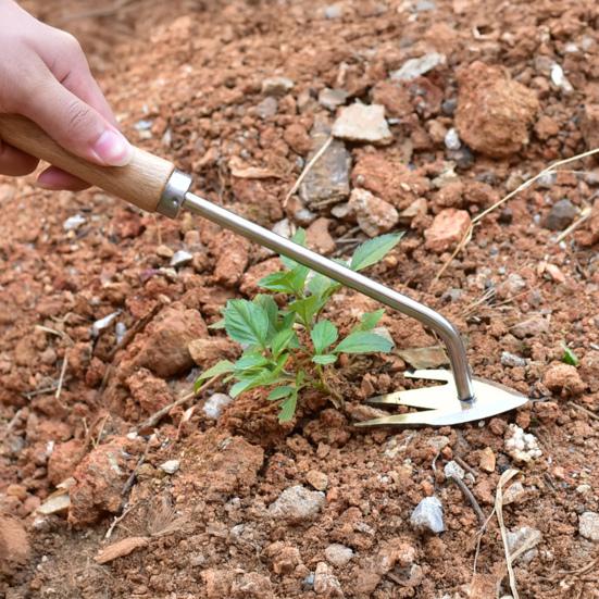 Yousheng Gardening 3-Teeth Weeder Puller Long Handle Heavy Duty Outdoor Garden Lawn Farm Backyard Weed Remover Manual Weeding Uprooting Pulling Tools B
Yousheng Gardening 3-Teeth Weeder Puller Long Handle Heavy Duty Outdoor Garden Lawn Farm Backyard Weed Remover Manual Weeding Uprooting Pulling Tools B