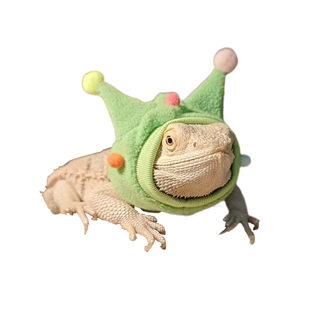 Bearded Dragon Costume, Lizards Scarf Clothes For Bearded Dragon, Lizards Fleece Horned Hat With High Elastic Wool Ball зелений
Bearded Dragon Costume, Lizards Scarf Clothes For Bearded Dragon, Lizards Fleece Horned Hat With High Elastic Wool Ball зелений