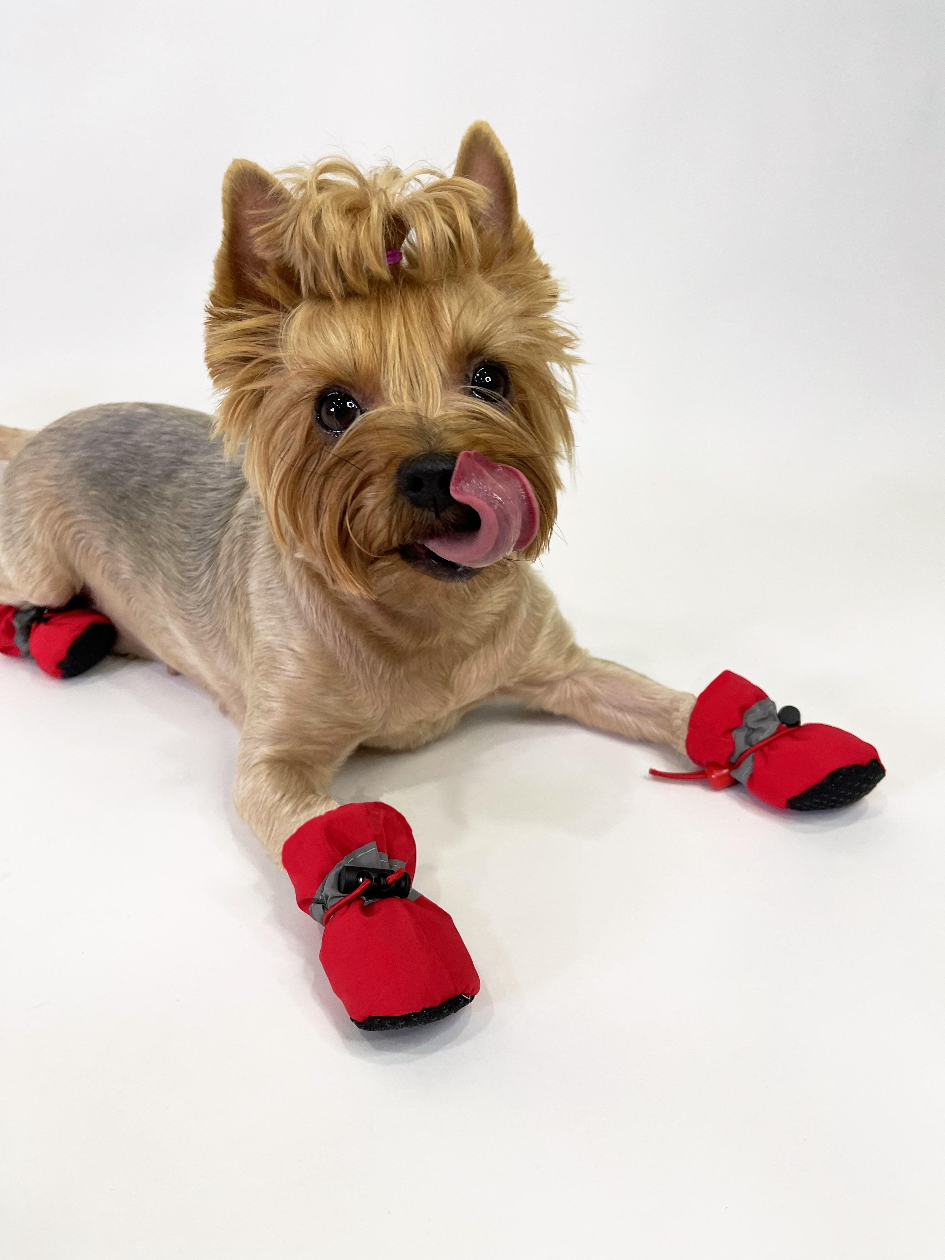 Soft,soled Dog Shoes And Socks, Winter , Fleece,lined Rain Boots, Warm And Non,, Small And Medium,sized Dog 3 червоний
Soft,soled Dog Shoes And Socks, Winter , Fleece,lined Rain Boots, Warm And Non,, Small And Medium,sized Dog 3 червоний
