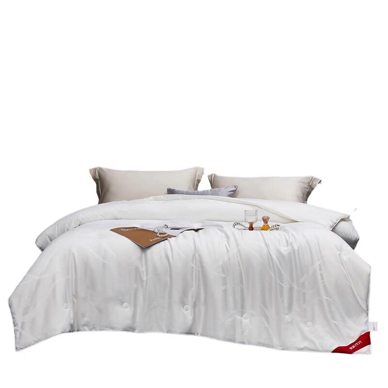 Mengjie Home Textiles Silk Blend All-Season Quilt
Mengjie Home Textiles Silk Blend All-Season Quilt