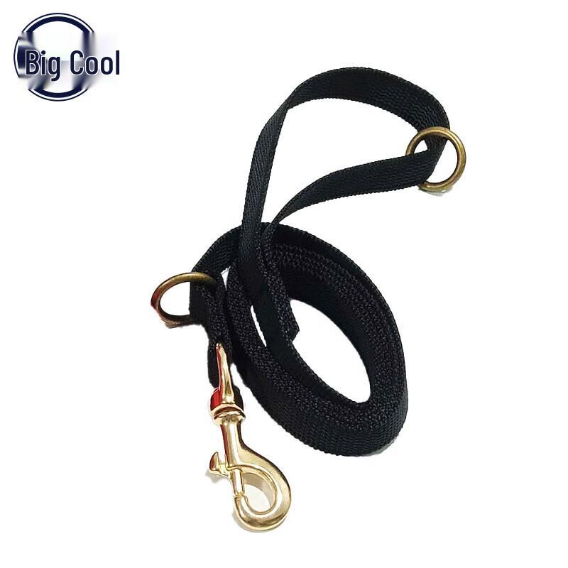 Quanku Anti-slip Multi-functional Dog Leash with Copper Buckle 1.5m
Quanku Anti-slip Multi-functional Dog Leash with Copper Buckle 1.5m