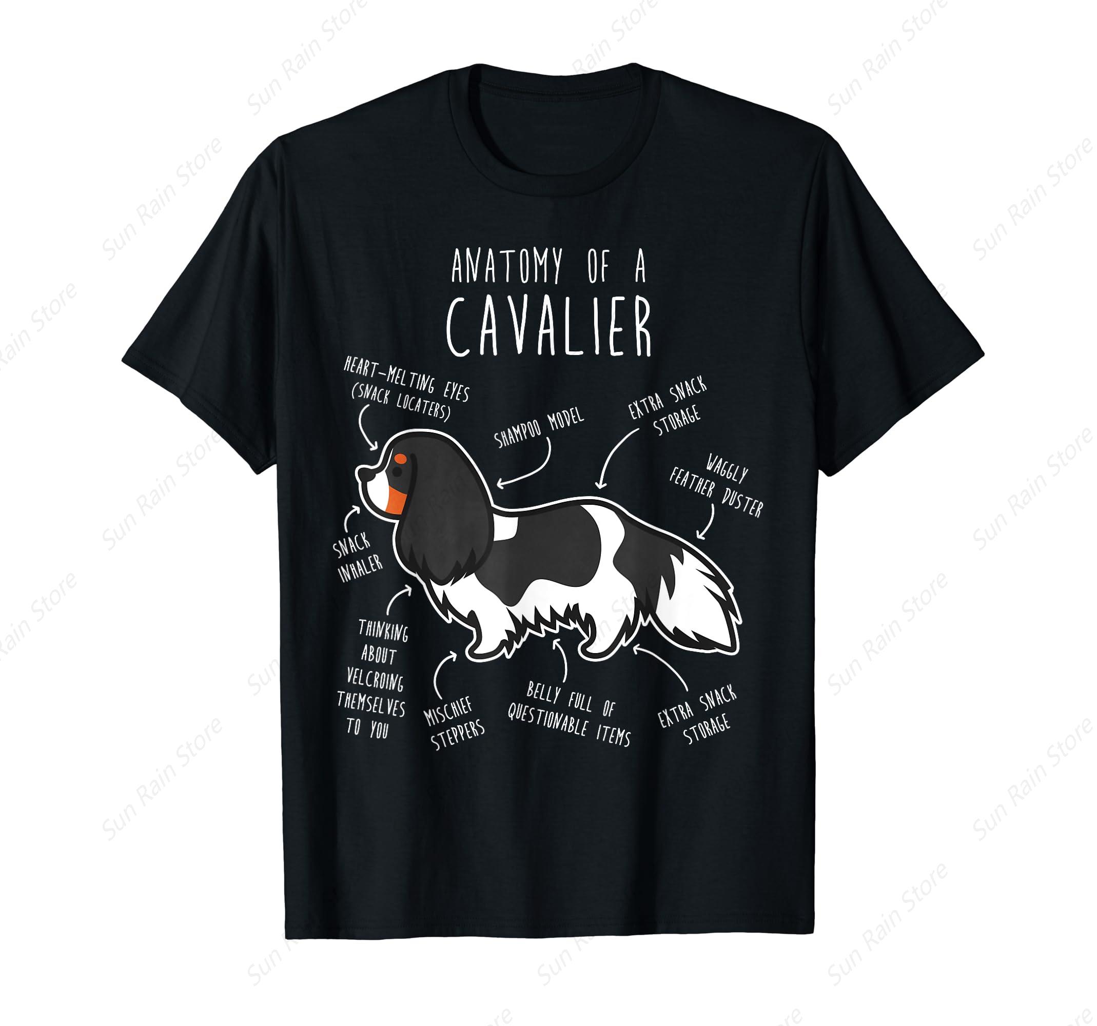 Tri-Color Cavalier King Charles Spaniel Dog Funny Anatomy T-Shirt - Men s Summer Cotton Graphic Tee S разноцветный
Tri-Color Cavalier King Charles Spaniel Dog Funny Anatomy T-Shirt - Men s Summer Cotton Graphic Tee S разноцветный