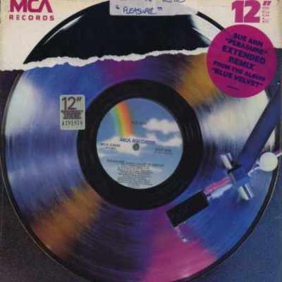 12-дюймовая пластинка SUE ANN CARWELL - Удовольствие (Расширенный ремикс) MCA23946 MCA Records 1989 США Рэп и хип-хоп/R&B Б/У
12-дюймовая пластинка SUE ANN CARWELL - Удовольствие (Расширенный ремикс) MCA23946 MCA Records 1989 США Рэп и хип-хоп/R&B Б/У