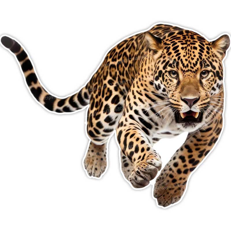 Leopard Car Stickers Decal Vinyl Detachable Waterproof Outdoor Car Bumper Window Notebook Computer Decoration Auto Parts Y160 A-15cm Longest Side
Leopard Car Stickers Decal Vinyl Detachable Waterproof Outdoor Car Bumper Window Notebook Computer Decoration Auto Parts Y160 A-15cm Longest Side