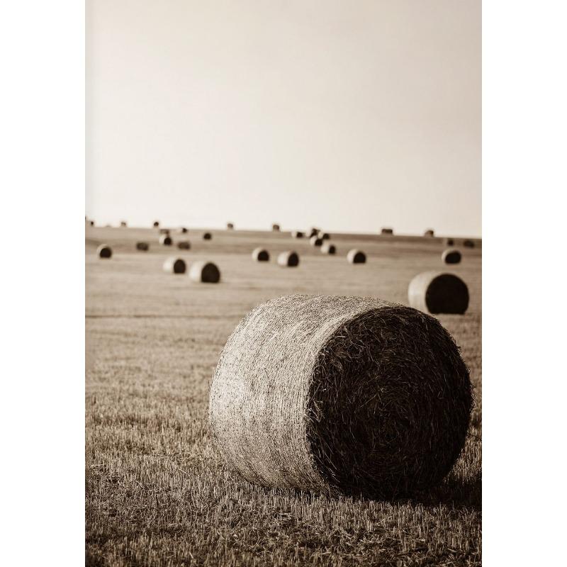 Ретро Абстрактный Сельский Пейзаж Ковбой Стог Сена Корова Гитара Постер Холст Живопись Печать Искусство Картина Дом Комната Настенный Декор Подарок 21cm×30cm NoFrame
Ретро Абстрактный Сельский Пейзаж Ковбой Стог Сена Корова Гитара Постер Холст Живопись Печать Искусство Картина Дом Комната Настенный Декор Подарок 21cm×30cm NoFrame