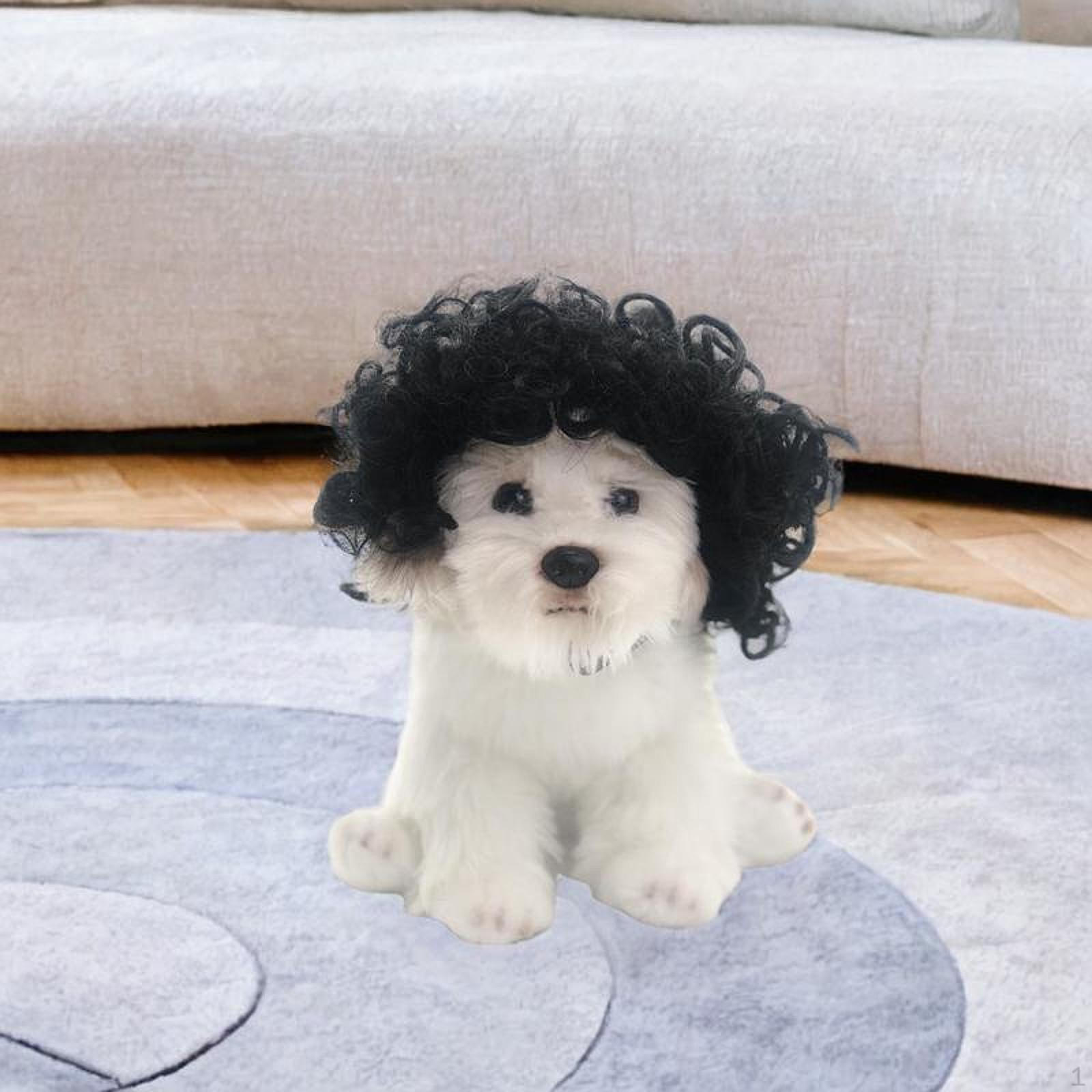 Косплей парик для собак, щенок, забавные костюмированные парики, легко носить, вечеринки для маленьких и средних собак Curly
Косплей парик для собак, щенок, забавные костюмированные парики, легко носить, вечеринки для маленьких и средних собак Curly