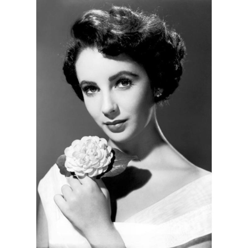 Elizabeth Taylor Classic Beauty Poster – Dormitory & Living Room Wall Art Yellow Kraft Paper (No Glue) 30X42 cm
Elizabeth Taylor Classic Beauty Poster – Dormitory & Living Room Wall Art Yellow Kraft Paper (No Glue) 30X42 cm