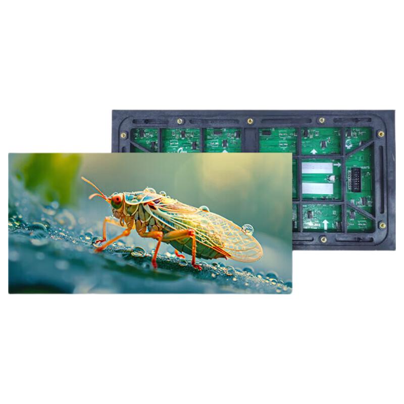 QIANGLI Q8 Pro Outdoor Full Color LED Display Screen CN plug (adapter included)
QIANGLI Q8 Pro Outdoor Full Color LED Display Screen CN plug (adapter included)