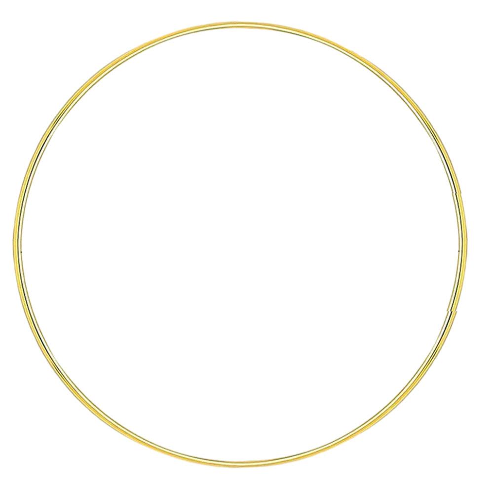 Different Sizes Garland Decoration Garland Hoop Iron Ring
Different Sizes Garland Decoration Garland Hoop Iron Ring