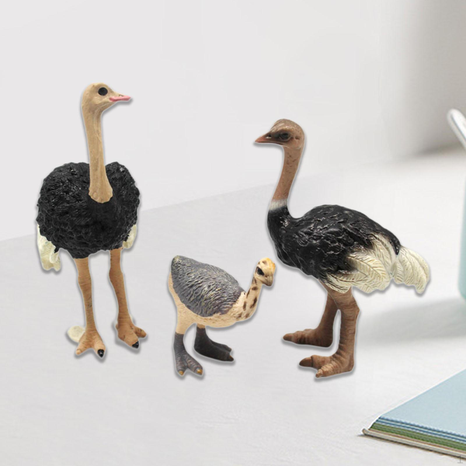 3Pcs Animal Bird Model Figures,Collectible Wildlife Birds,Realistic Set Educational Learning
3Pcs Animal Bird Model Figures,Collectible Wildlife Birds,Realistic Set Educational Learning