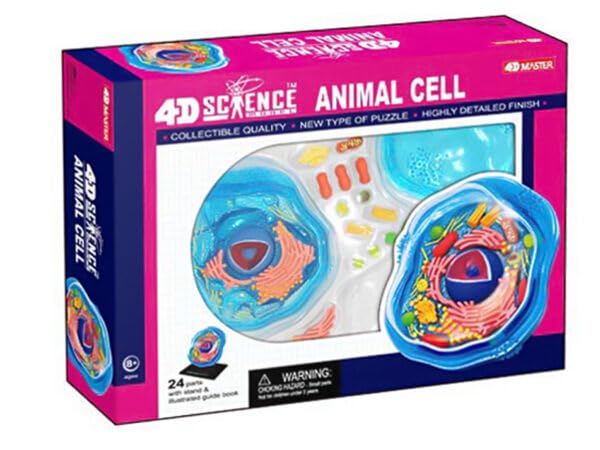 4D Vision Animal Cell Model Science Series 3D Puzzle 4D Vision science model 624001 Animal Cell Fame Master 4D master Educational Toy STEM
4D Vision Animal Cell Model Science Series 3D Puzzle 4D Vision science model 624001 Animal Cell Fame Master 4D master Educational Toy STEM