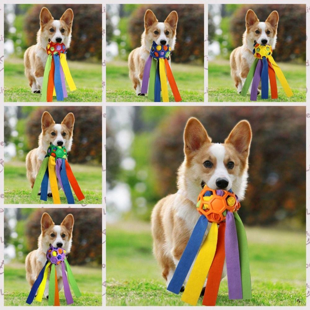 Anti Choking Interactive Dog Puzzle Toy Bite Resistant Pet Food Dispensing Toy Relieve Anxiety
Anti Choking Interactive Dog Puzzle Toy Bite Resistant Pet Food Dispensing Toy Relieve Anxiety