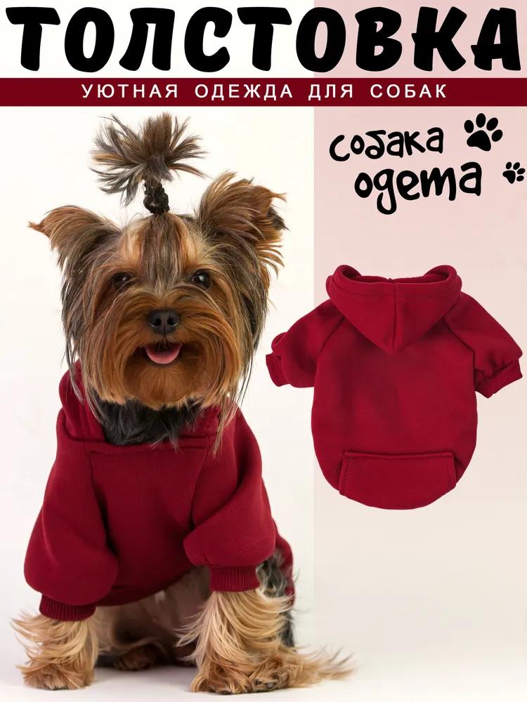 Pet Dog Clothes Button Four-legged Sports Outdoor Sweatshirt XS красный
Pet Dog Clothes Button Four-legged Sports Outdoor Sweatshirt XS красный