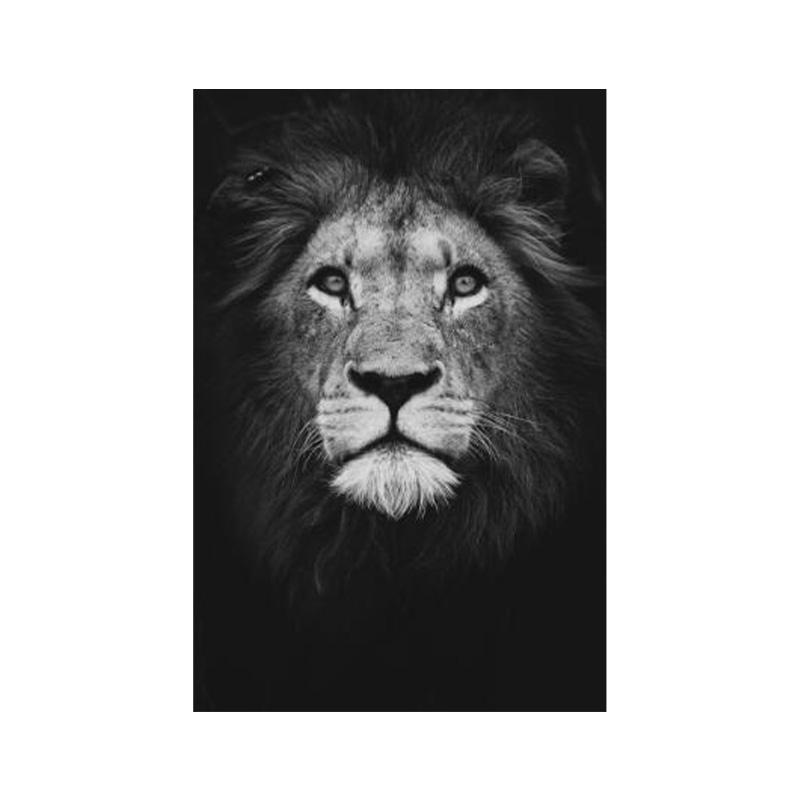 Дикие африканские львы в темноте, холст, картина на стене, художественные постеры и принты, черно-белые фотографии животных, домашний декор 20x30cm
Дикие африканские львы в темноте, холст, картина на стене, художественные постеры и принты, черно-белые фотографии животных, домашний декор 20x30cm