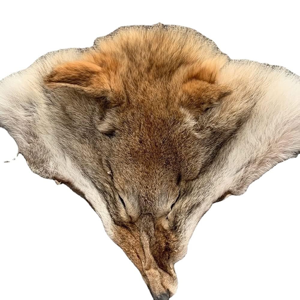 Realistic Coyote Head Pelt Fur Pelt Imitation Wolf Head Skin Pelt Decoration Animal Skin Costume Fur, (Large)
Realistic Coyote Head Pelt Fur Pelt Imitation Wolf Head Skin Pelt Decoration Animal Skin Costume Fur, (Large)
