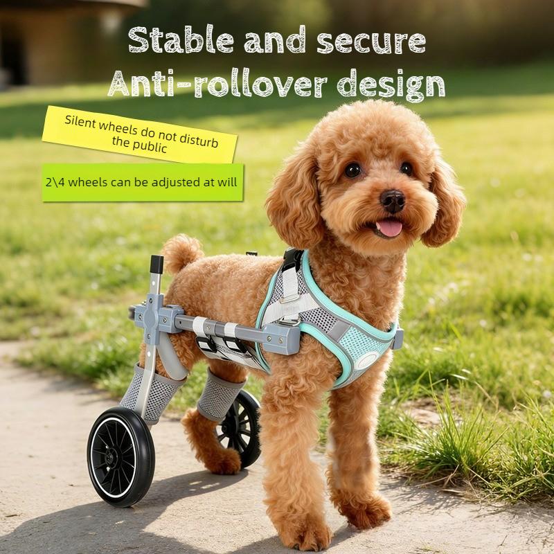 Assisted Walking Adjustable Dog Wheelchair for Hind Legs Disable Durable Pet Mobility Cart with Comfort Fit for Elderly Dogs XS
Assisted Walking Adjustable Dog Wheelchair for Hind Legs Disable Durable Pet Mobility Cart with Comfort Fit for Elderly Dogs XS