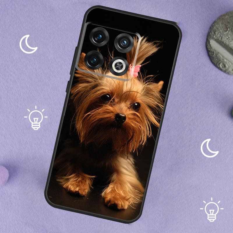 Yorkshire Terrier Dog Case For OnePlus 13R 12R 10R 13T 15 13 12 11 8T 10T Nord CE 4 3 2 Lite N20 N30 Nord 5 Cover For OnePlus Nord 2
Yorkshire Terrier Dog Case For OnePlus 13R 12R 10R 13T 15 13 12 11 8T 10T Nord CE 4 3 2 Lite N20 N30 Nord 5 Cover For OnePlus Nord 2