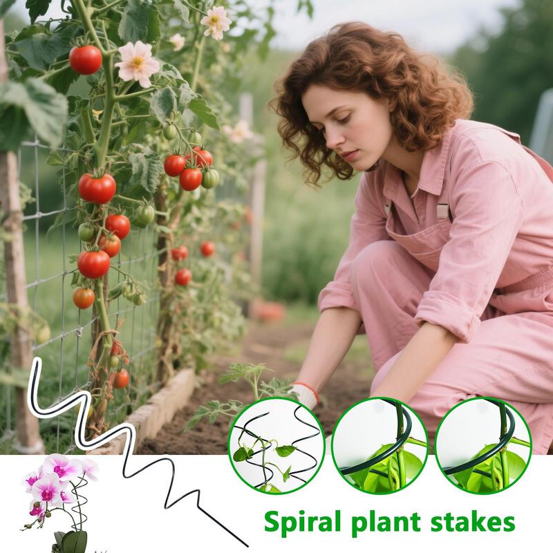 Tomato Stakes Metal Climbing Plant Twist Stake Wind-Resistant Structure Garden Vine Plants Support Sticks For Fruit Vegetables China Mainland
Tomato Stakes Metal Climbing Plant Twist Stake Wind-Resistant Structure Garden Vine Plants Support Sticks For Fruit Vegetables China Mainland