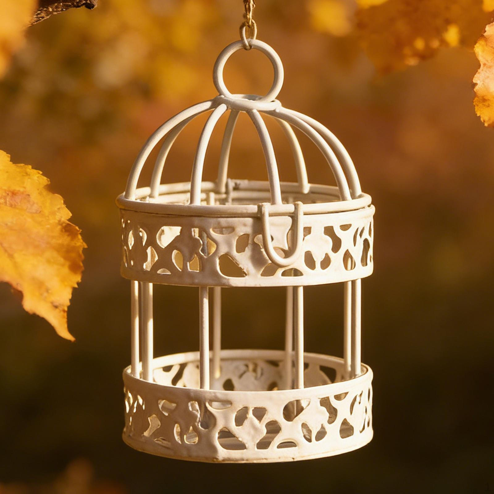 Bird Cage Hanging Planter Decoration Wedding Decor Iron Prop Flower Pot Plant for Office 7cmx7cmx10cm
Bird Cage Hanging Planter Decoration Wedding Decor Iron Prop Flower Pot Plant for Office 7cmx7cmx10cm