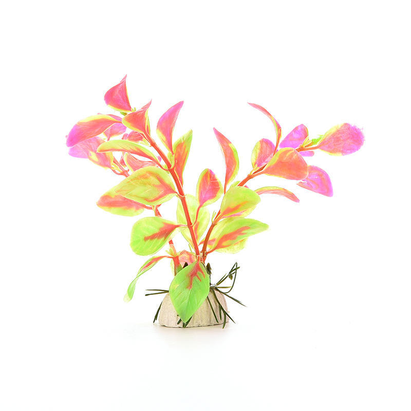 15CM/10CM Underwater Artificial Aquatic Plant Ornaments For Aquarium Fish Tank Green Water Grass Landscape Decoration Hot
15CM/10CM Underwater Artificial Aquatic Plant Ornaments For Aquarium Fish Tank Green Water Grass Landscape Decoration Hot