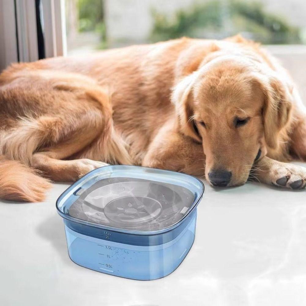 Large Capacity Pet Floating Water Bowl Spillproof Traveling Dog Water Bowl Kitten зелений
Large Capacity Pet Floating Water Bowl Spillproof Traveling Dog Water Bowl Kitten зелений