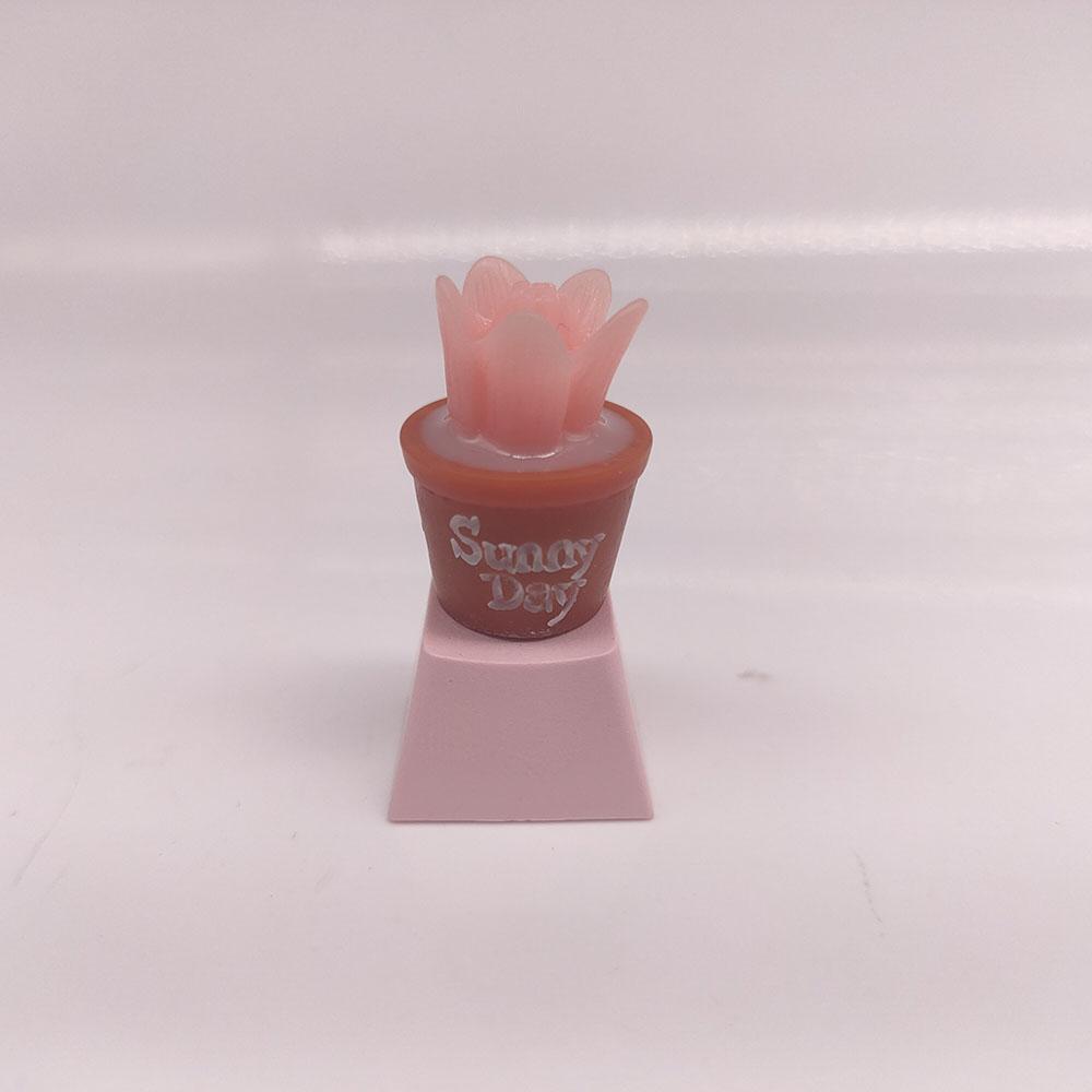 Keycaps Cherry Profile Pbt Keycap Anime Kawaii Diy Mechanical Keyboard Caps Gaming Decoration Accessories Cute Key
Keycaps Cherry Profile Pbt Keycap Anime Kawaii Diy Mechanical Keyboard Caps Gaming Decoration Accessories Cute Key