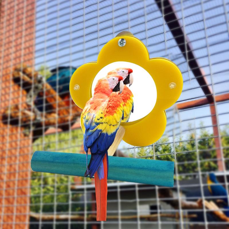 Bird Mirror For Cage Parrot Toys Mirror Cockatiel Perch Chewing Flower Shape Enrichment Stand Cockatiel Cage Accessories China Mainland
Bird Mirror For Cage Parrot Toys Mirror Cockatiel Perch Chewing Flower Shape Enrichment Stand Cockatiel Cage Accessories China Mainland