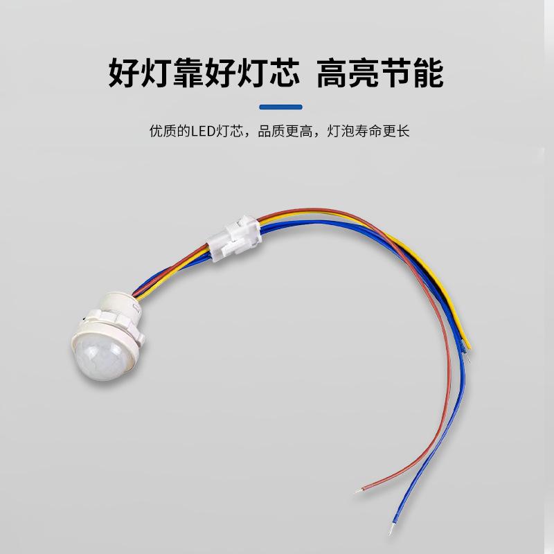 220V Motion Probe Infrared One Size
220V Motion Probe Infrared One Size