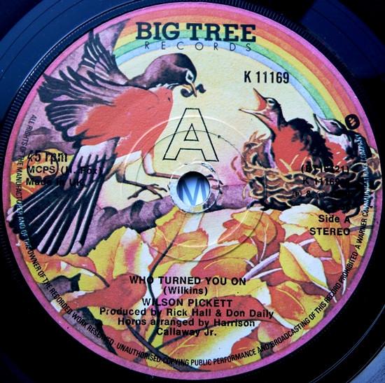 7inch Record WILSON PICKETT - Who Turned You On / Dance You Down K11169 Big Tree Record 1978 UK Soul/Funk Used
7inch Record WILSON PICKETT - Who Turned You On / Dance You Down K11169 Big Tree Record 1978 UK Soul/Funk Used