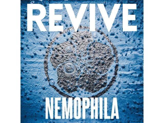 NEMOPHILA REVIVE Standard Edition CD DDCZ-2285 Японский браслет для пушистых девочек НОВЫЙ
NEMOPHILA REVIVE Standard Edition CD DDCZ-2285 Японский браслет для пушистых девочек НОВЫЙ