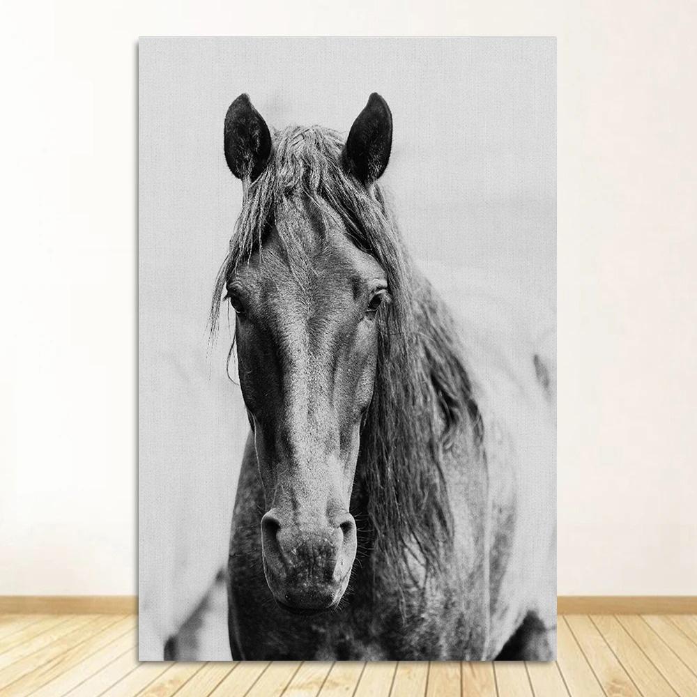 Черно-белый портрет лошади, постер, печать на холсте, картина с изображением бегущих лошадей, настенное искусство, картина для декора комнаты в фермерском доме 20x30cm
Черно-белый портрет лошади, постер, печать на холсте, картина с изображением бегущих лошадей, настенное искусство, картина для декора комнаты в фермерском доме 20x30cm