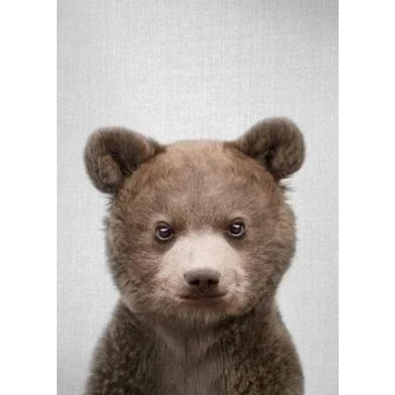 Modern Animals Colorful Baby Rabbit and Tiger Poster Canvas Painting Wall Art Posters and Prints Picture for Living Room Decor 21cm×30cm NoFrame
Modern Animals Colorful Baby Rabbit and Tiger Poster Canvas Painting Wall Art Posters and Prints Picture for Living Room Decor 21cm×30cm NoFrame