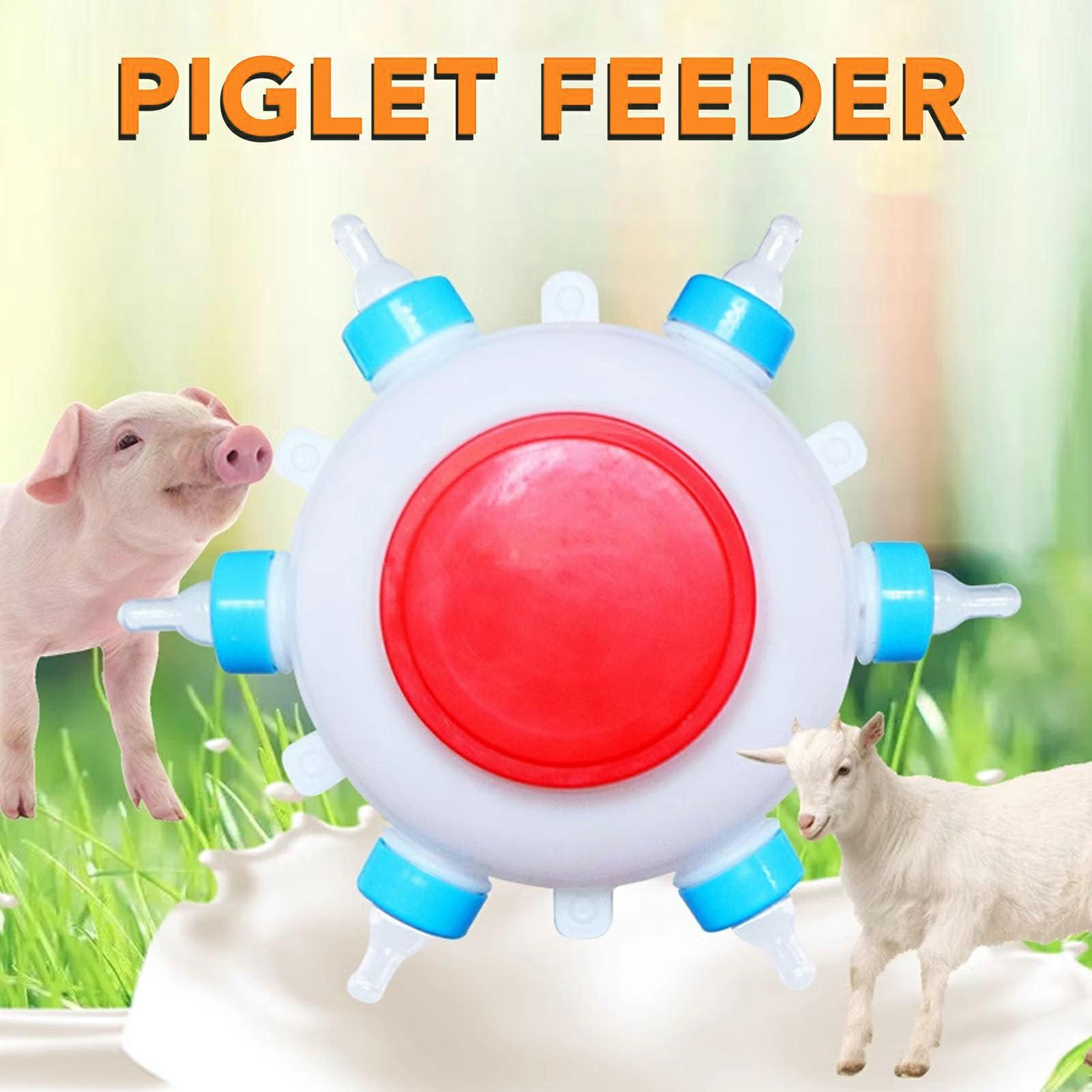 Piggy Milk Feeder 2.5L Round Piglet Poultry Breeding Feeder with 6 Pacifiers for Lambs,Piglets,Cows Type A
Piggy Milk Feeder 2.5L Round Piglet Poultry Breeding Feeder with 6 Pacifiers for Lambs,Piglets,Cows Type A