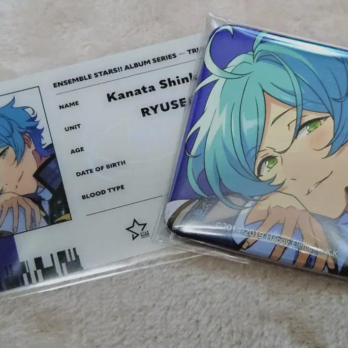 Ansta Kanata Trip Badge Id Kard
Ansta Kanata Trip Badge Id Kard