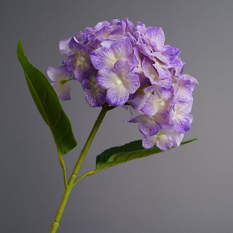 4pcs Simulation Hydrangeas Branch Real Touch Fake Flowers Garden Balcony Decoration Green Star Drop Hydrangea Artificial Flower фіолетовий
4pcs Simulation Hydrangeas Branch Real Touch Fake Flowers Garden Balcony Decoration Green Star Drop Hydrangea Artificial Flower фіолетовий
