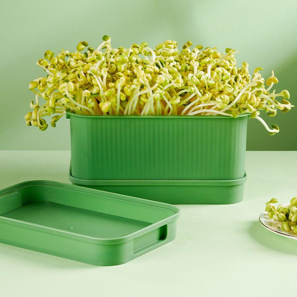Sprout Planting Helper Hydroponic Sprouting Plate Horticultural Tool Sprouting Tray білий
Sprout Planting Helper Hydroponic Sprouting Plate Horticultural Tool Sprouting Tray білий