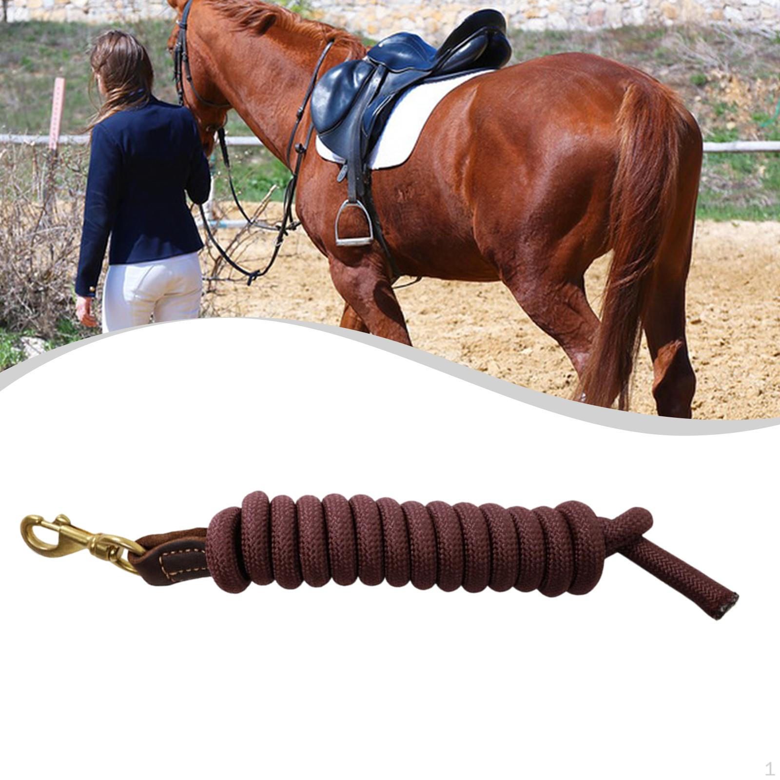 Rope Horse Tack with Snap Practical Strong Heavy Duty Lunge Leash Use
Rope Horse Tack with Snap Practical Strong Heavy Duty Lunge Leash Use