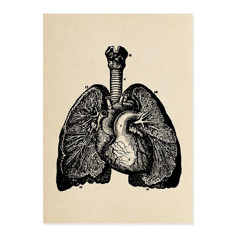 Вінтажний медичний плакат Скелет людини Анатомія Череп Клініка Настінне мистецтво Картина на полотні Друк картин для освітнього декору лікарні A4 21x30cm No Frame
Вінтажний медичний плакат Скелет людини Анатомія Череп Клініка Настінне мистецтво Картина на полотні Друк картин для освітнього декору лікарні A4 21x30cm No Frame