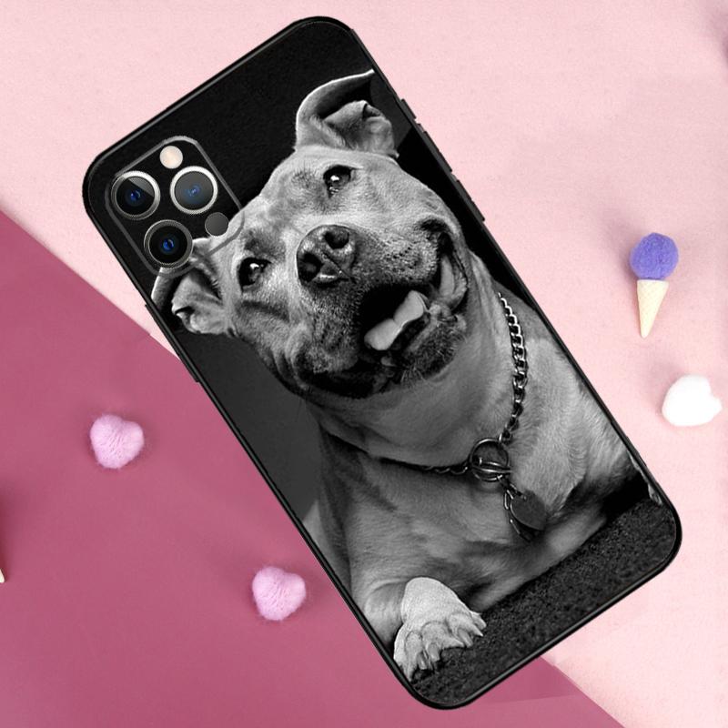 Pit Bull Pitbull Dog Phone Case For iPhone 17 Pro Max 17 Air 11 14 15 16 Pro Max Plus 12 13 Mini 16e Back Cover iPhone 13 Pro
Pit Bull Pitbull Dog Phone Case For iPhone 17 Pro Max 17 Air 11 14 15 16 Pro Max Plus 12 13 Mini 16e Back Cover iPhone 13 Pro