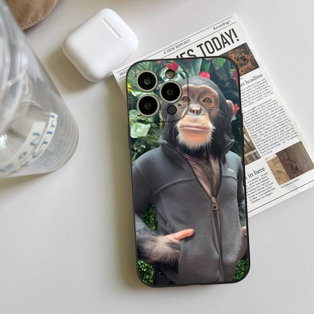 Забавный чехол для телефона с обезьяной для iPhone 17 16 15 14 13 12 11 Pro Max Mini SE 7 Plus 17E Ударопрочный Милый Животный Силиконовый Мягкий Чехол iPhone 17 Pro
Забавный чехол для телефона с обезьяной для iPhone 17 16 15 14 13 12 11 Pro Max Mini SE 7 Plus 17E Ударопрочный Милый Животный Силиконовый Мягкий Чехол iPhone 17 Pro