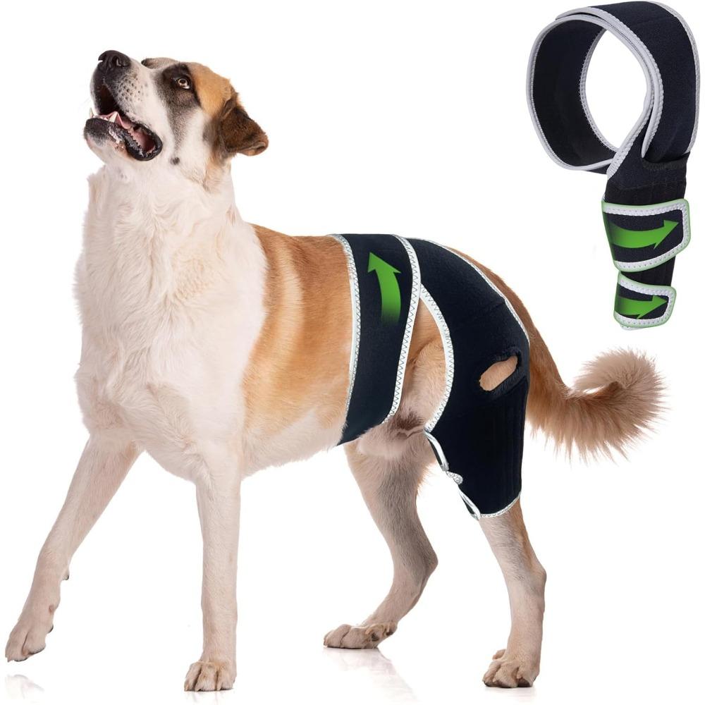 Dog Knee Brace for Torn ACL Hind Leg, Shoulder Dislocation for Older and Athletic Dogs, Front Leg Brace Support for Big Breeds S чёрный
Dog Knee Brace for Torn ACL Hind Leg, Shoulder Dislocation for Older and Athletic Dogs, Front Leg Brace Support for Big Breeds S чёрный