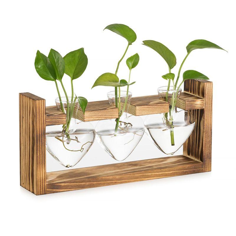 AEE2-Glass Propagation Station For Plants: Vintage Vases Decoration With Wooden Frame Set For Living Room Office Shelf
AEE2-Glass Propagation Station For Plants: Vintage Vases Decoration With Wooden Frame Set For Living Room Office Shelf