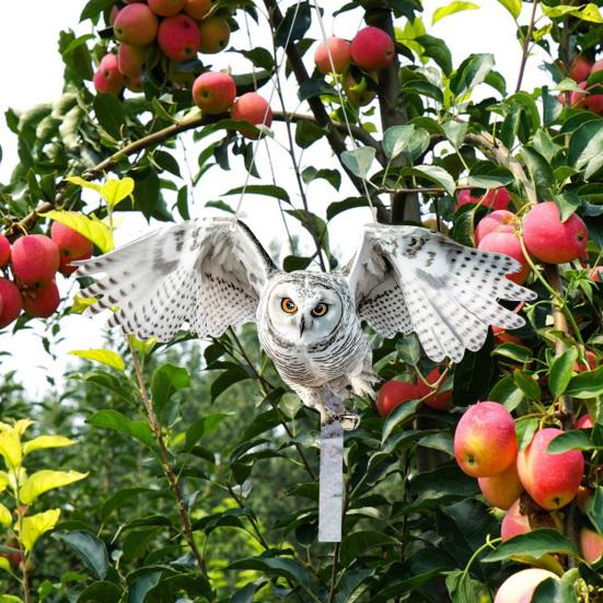 Yousheng 2Pcs Simulated Owl Hanging Decoration Reflective Owl with Dual-Side Printed Waterproof Acrylic Fake Owls for Balcony Decor C
Yousheng 2Pcs Simulated Owl Hanging Decoration Reflective Owl with Dual-Side Printed Waterproof Acrylic Fake Owls for Balcony Decor C