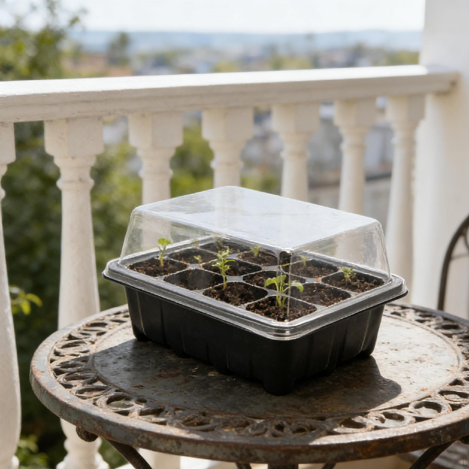 Seeding Starter Tray Seedling Nursery Growing Observing Growth Easy to Use чёрный
Seeding Starter Tray Seedling Nursery Growing Observing Growth Easy to Use чёрный